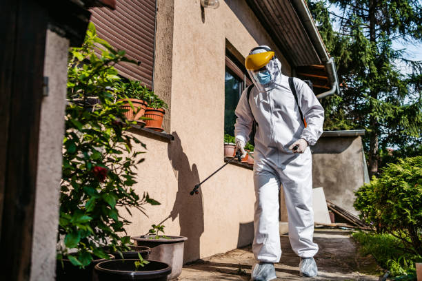 Flea Control Services in Lake Sherwood, CA