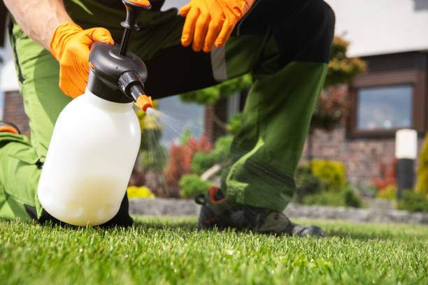 Best Affordable Pest Control Services  in Lake Sherwood, CA