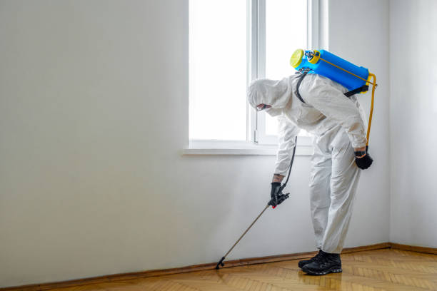 Best Commercial Pest Control Services  in Lake Sherwood, CA