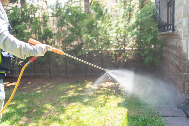 Best Local Pest Control Services  in Lake Sherwood, CA