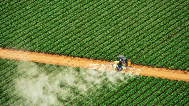 Best Termite Control Services  in Lake Sherwood, CA