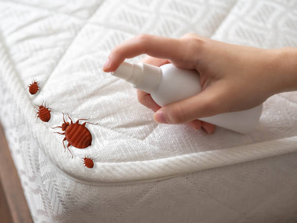 Best Best Pest Control Companies  in Lake Sherwood, CA